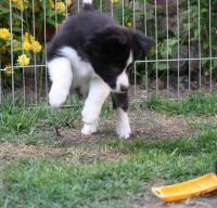 IMG_0640 50